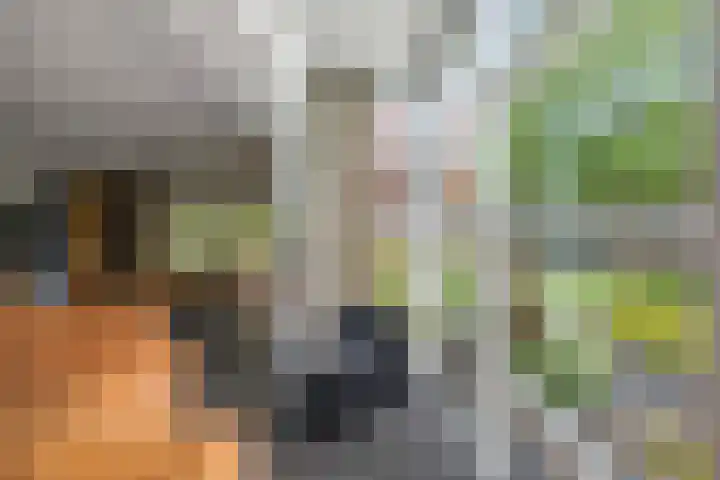 Prinses Irenelaan 7 Lochem thumbnail 11