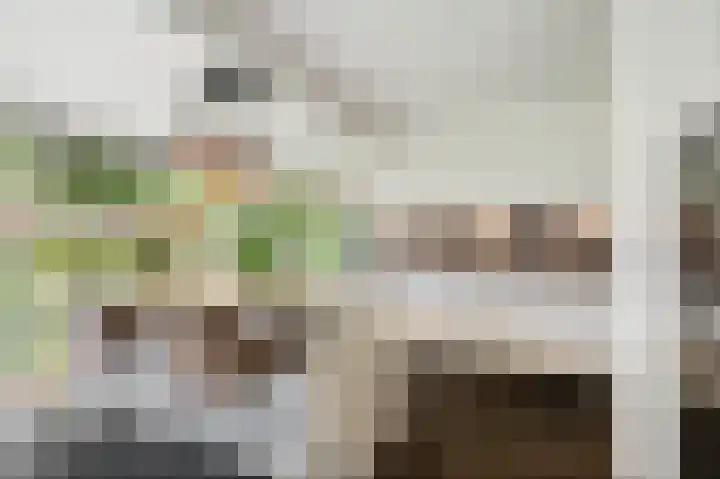 Prinses Irenelaan 7 Lochem thumbnail 17