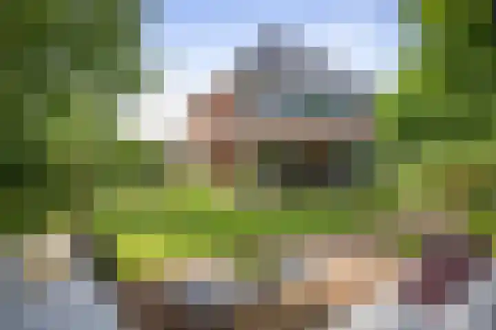Prinses Irenelaan 7 Lochem thumbnail 37