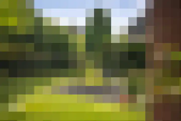 Prinses Irenelaan 7 Lochem thumbnail 38