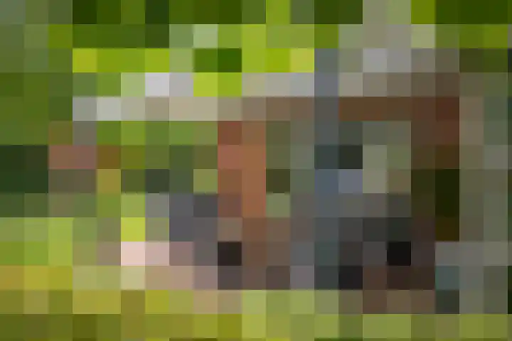Prinses Irenelaan 7 Lochem thumbnail 42