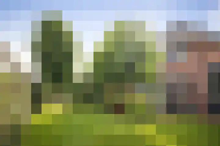 Prinses Irenelaan 7 Lochem thumbnail 46