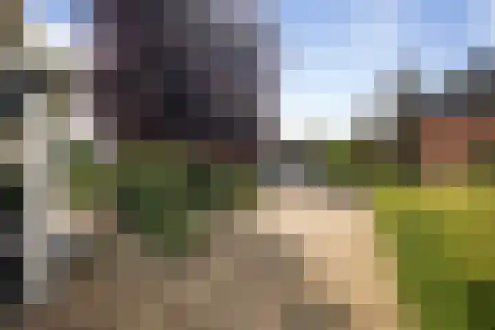 Prinses Irenelaan 7 Lochem thumbnail 47