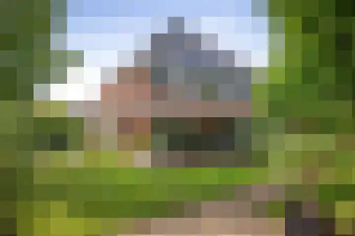 Prinses Irenelaan 7 Lochem thumbnail 55