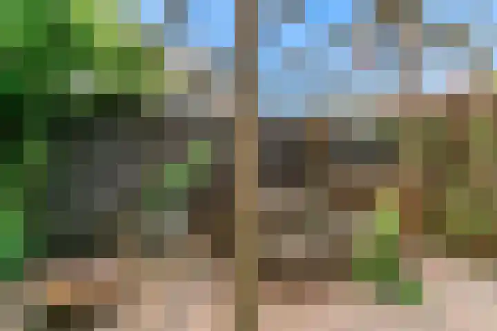 Prinses Irenelaan 78 Egmond aan den Hoef thumbnail 39