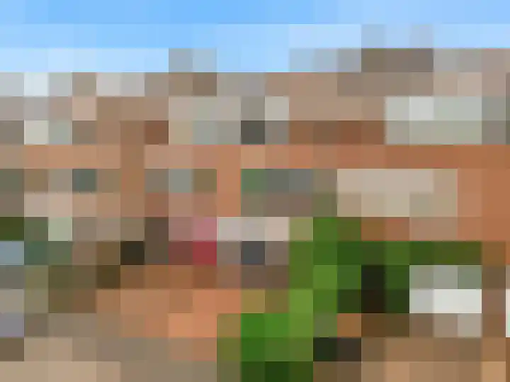 Prinses Irenelaan 78 Egmond aan den Hoef thumbnail 6