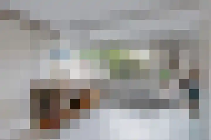 Prinses Irenelaan 78 Egmond aan den Hoef thumbnail 9