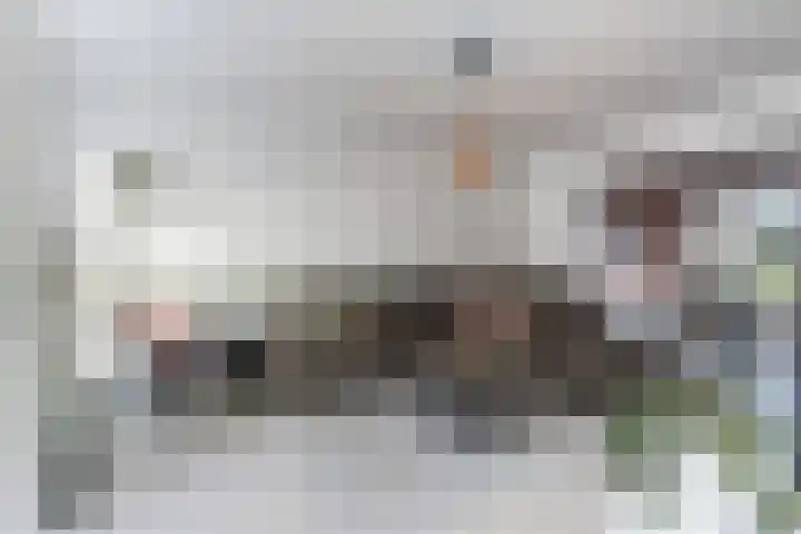 Prinses Irenelaan 8 Nieuwendijk thumbnail 14