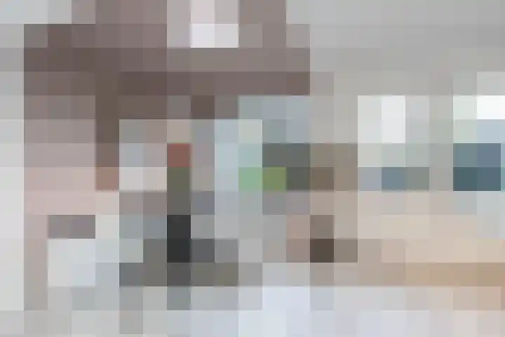 Prinses Irenelaan 8 Nieuwendijk thumbnail 18
