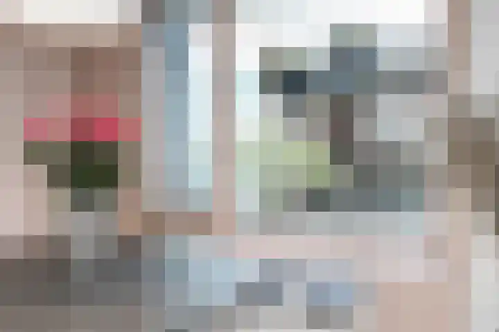 Prinses Irenelaan 8 Nieuwendijk thumbnail 20