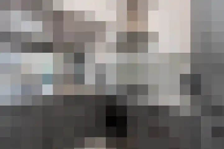 Prinses Irenelaan 8 Nieuwendijk thumbnail 24