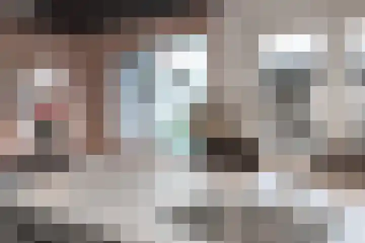 Prinses Irenelaan 8 Nieuwendijk thumbnail 26