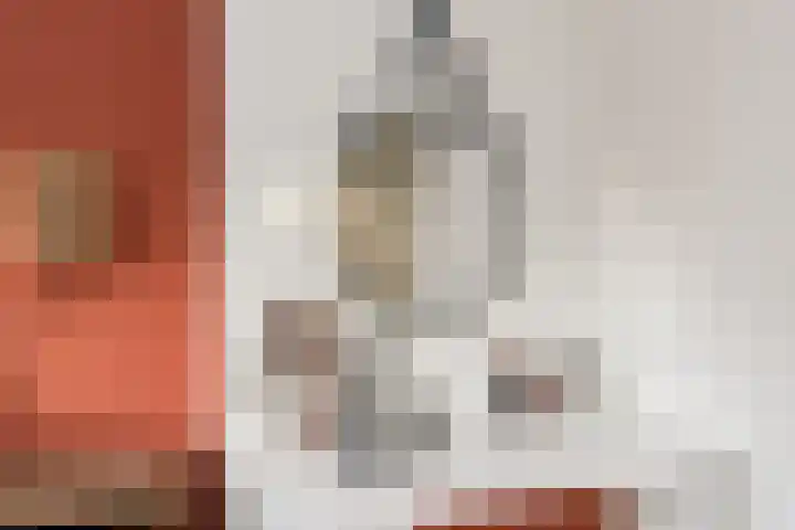 Prinses Irenelaan 8 Nieuwendijk thumbnail 34