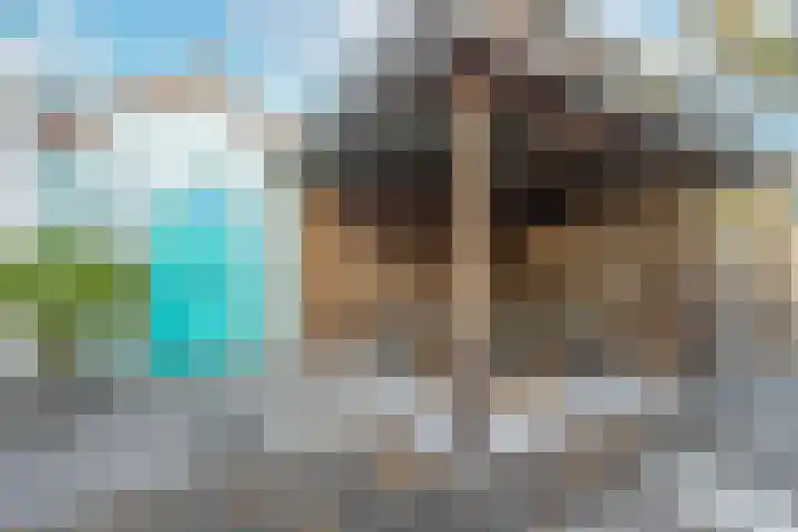 Prinses Irenelaan 8 Nieuwendijk thumbnail 41