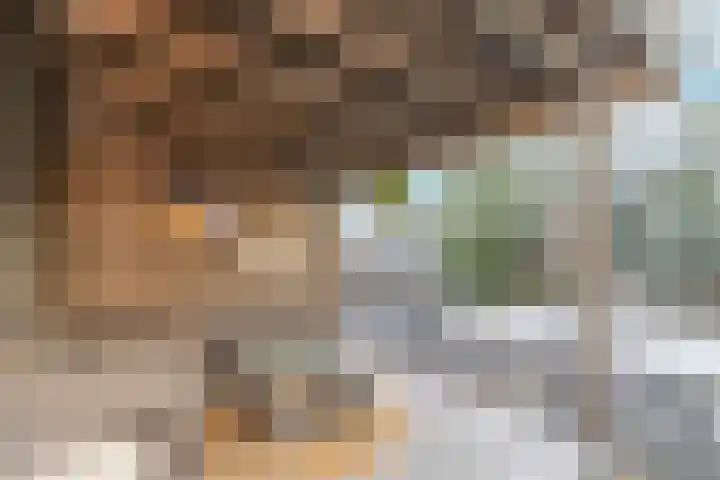 Prinses Irenelaan 8 Nieuwendijk thumbnail 42