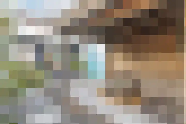 Prinses Irenelaan 8 Nieuwendijk thumbnail 47