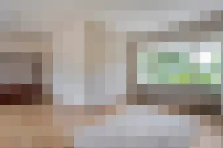 Prinses Irenelaan 8 Slagharen thumbnail 11