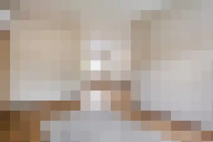 Prinses Irenelaan 8 Slagharen thumbnail 13