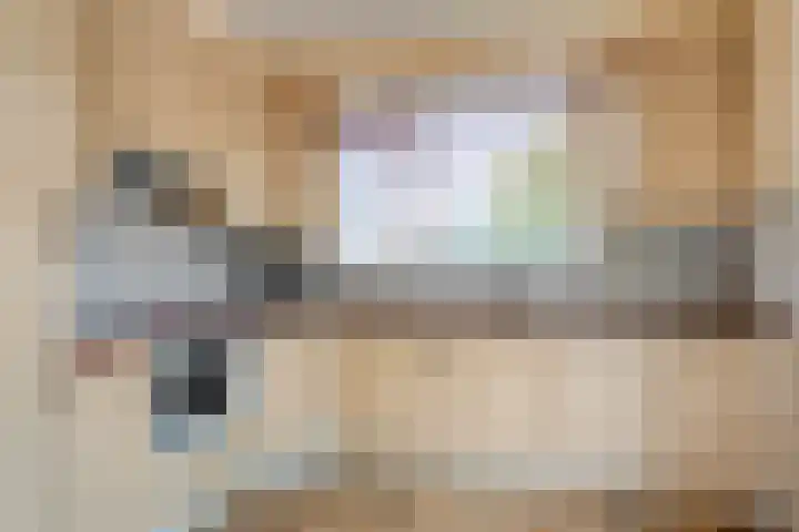 Prinses Irenelaan 8 Slagharen thumbnail 14