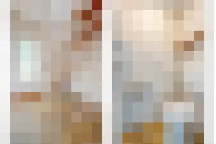 Prinses Irenelaan 8 Slagharen thumbnail 17