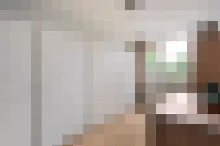 Prinses Irenelaan 8 Slagharen thumbnail 21