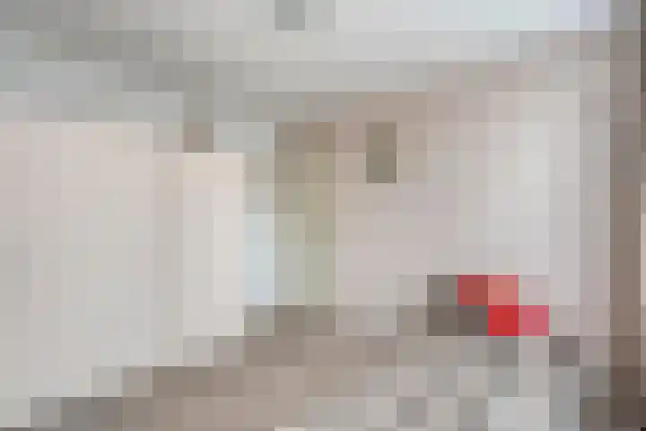 Prinses Irenelaan 8 Slagharen thumbnail 24
