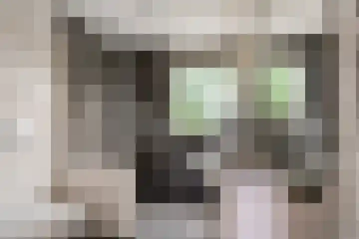 Prinses Irenelaan 8 Slagharen thumbnail 25
