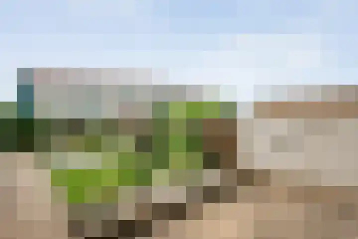 Prinses Irenelaan 8 Slagharen thumbnail 31