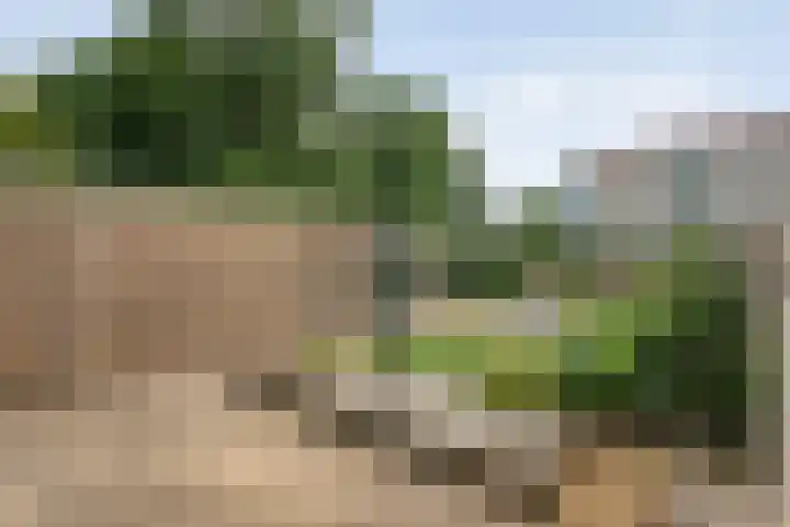 Prinses Irenelaan 8 Slagharen thumbnail 32