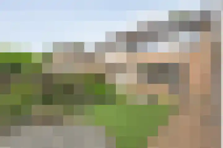 Prinses Irenelaan 8 Slagharen thumbnail 34