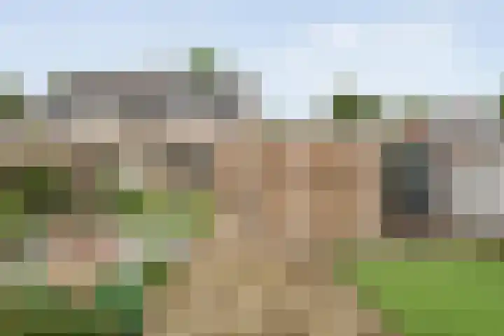 Prinses Irenelaan 8 Slagharen thumbnail 35