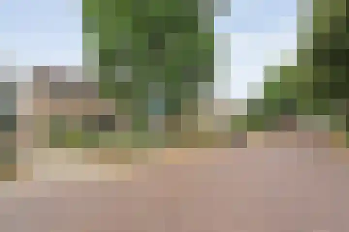 Prinses Irenelaan 8 Slagharen thumbnail 36