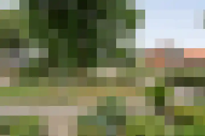 Prinses Irenelaan 8 Slagharen thumbnail 37