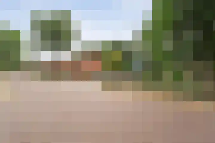 Prinses Irenelaan 8 Slagharen thumbnail 38