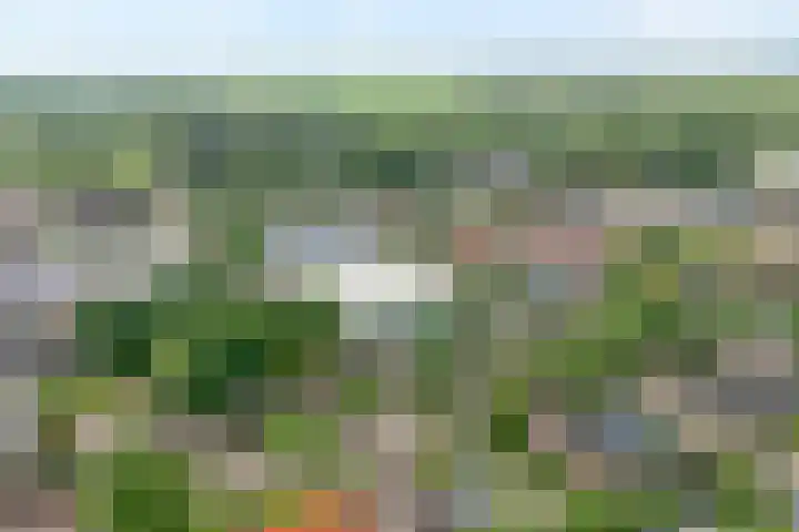 Prinses Irenelaan 8 Slagharen thumbnail 4