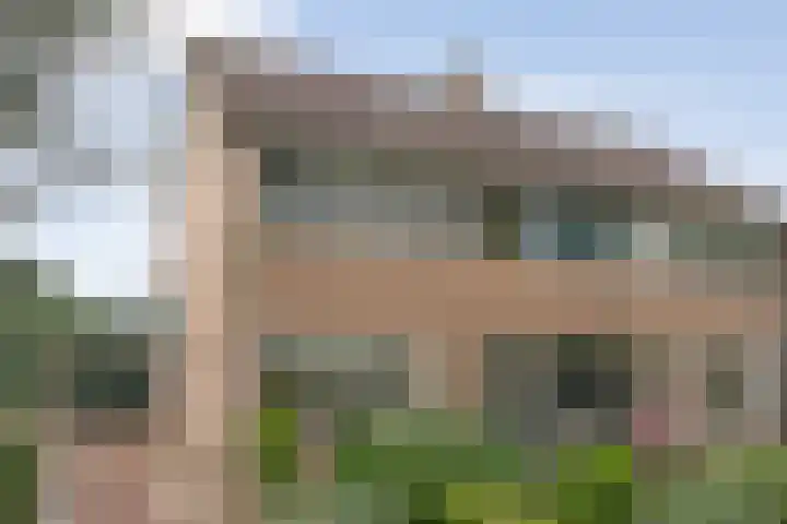 Prinses Irenelaan 8 Slagharen thumbnail 43