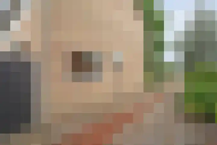 Prinses Irenelaan 8 Slagharen thumbnail 5