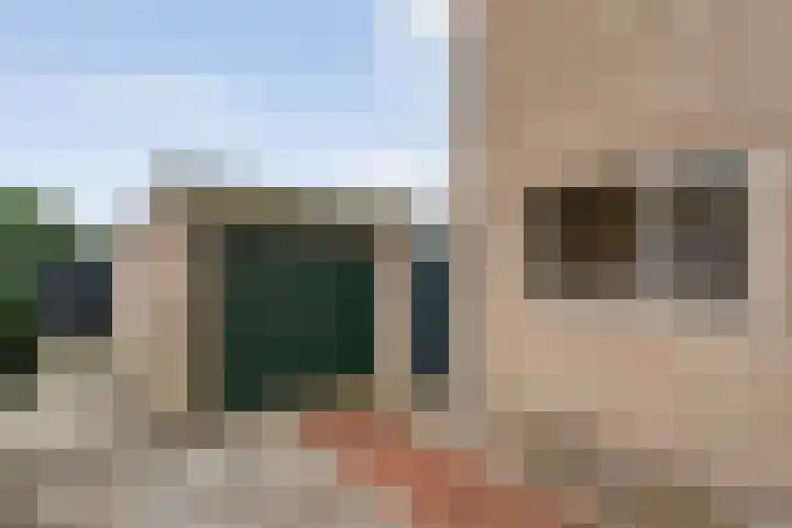 Prinses Irenelaan 8 Slagharen thumbnail 6
