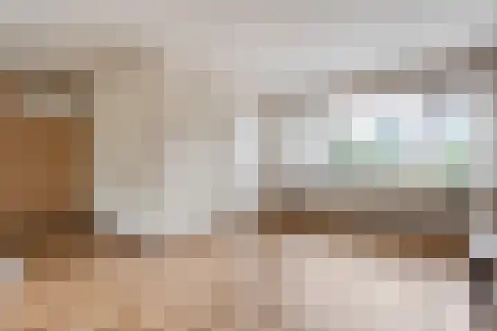Prinses Irenelaan 8 Slagharen thumbnail 7