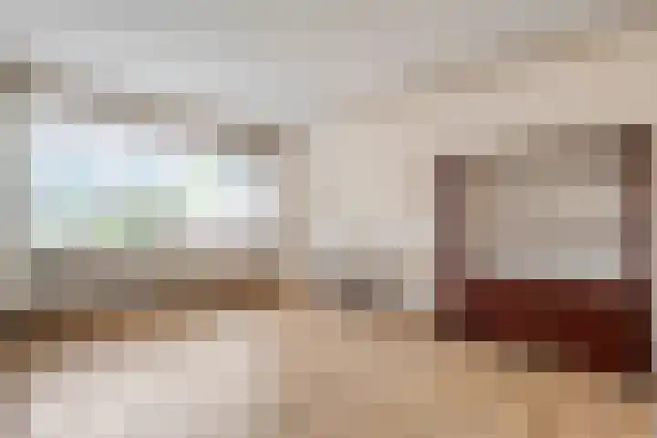 Prinses Irenelaan 8 Slagharen thumbnail 8