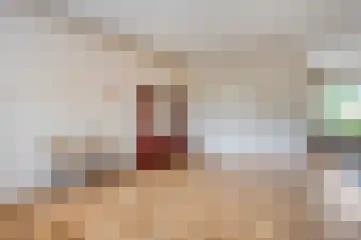 Prinses Irenelaan 8 Slagharen thumbnail 9