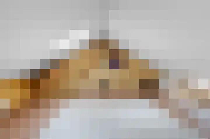 Prinses Irenelaan 9 Dieren thumbnail 29