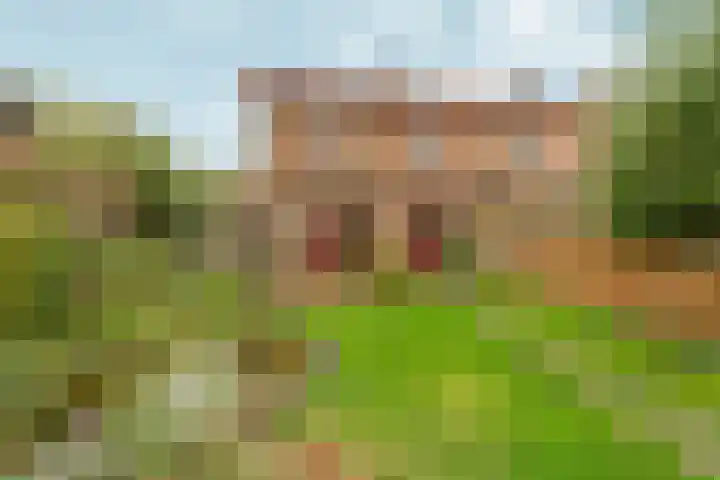 Prinses Irenelaan 9 Dieren thumbnail 34