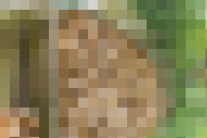 Prinses Irenelaan 9 Dieren thumbnail 35