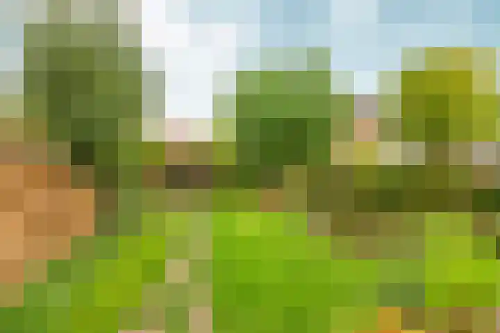 Prinses Irenelaan 9 Dieren thumbnail 38