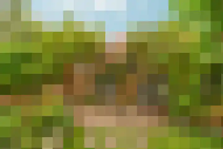 Prinses Irenelaan 9 Dieren thumbnail 39