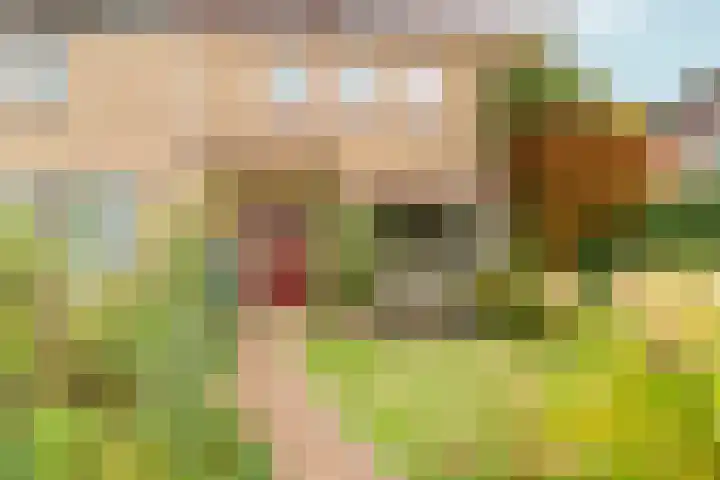 Prinses Irenelaan 9 Dieren thumbnail 4