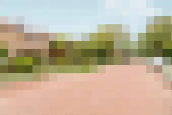 Prinses Irenelaan 9 Dieren thumbnail 44