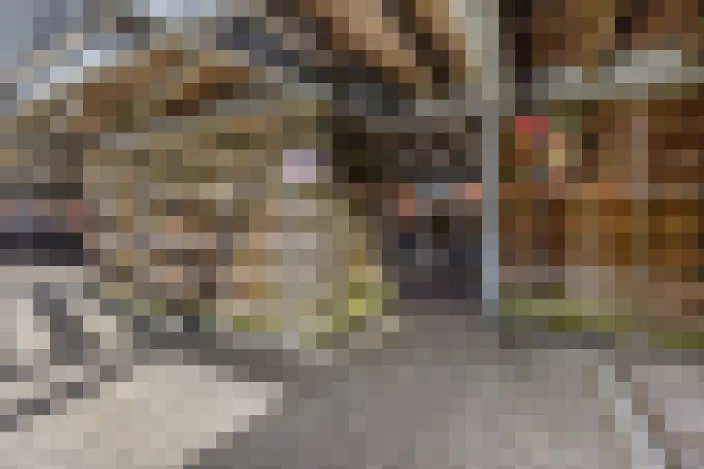 Prinses Ireneplateau 1 Utrecht thumbnail 32