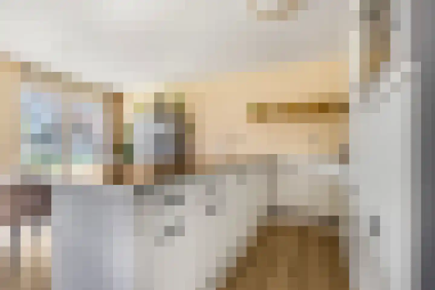 Prinses Ireneplateau 1 Utrecht thumbnail 9
